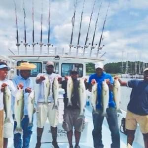 Meet your Posher, Josh